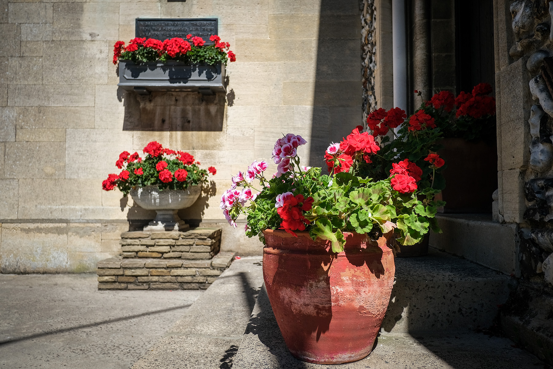 flower pots with red flowers